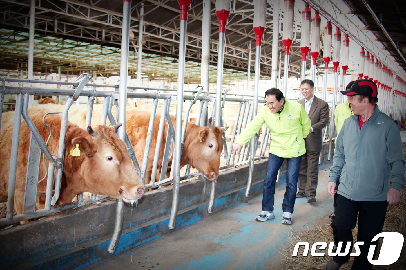 늘푸른축산 이미지
