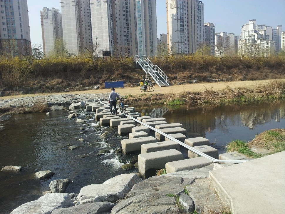 징검다리 이미지