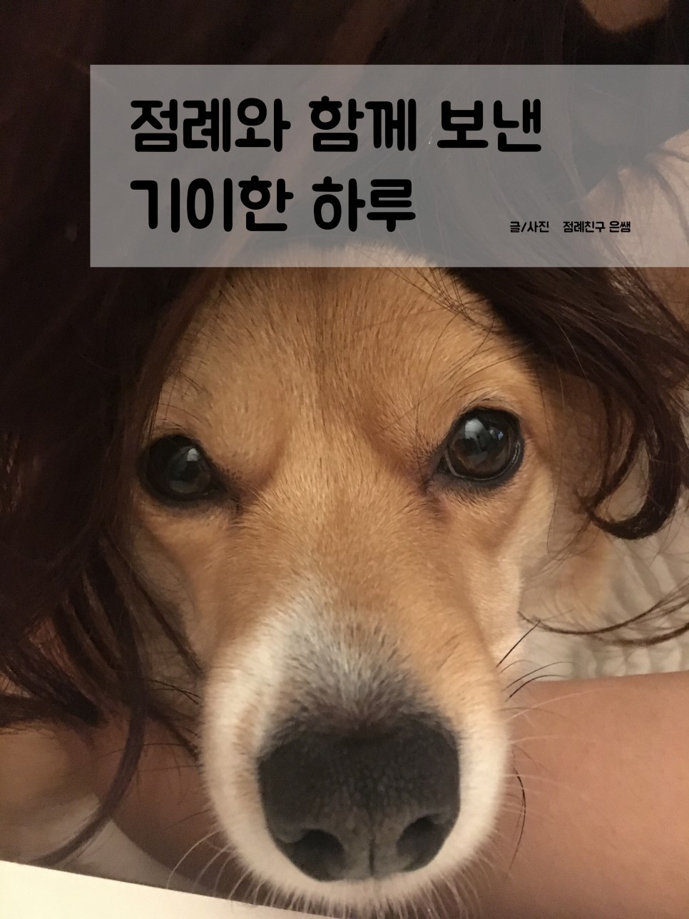 놀자 이미지