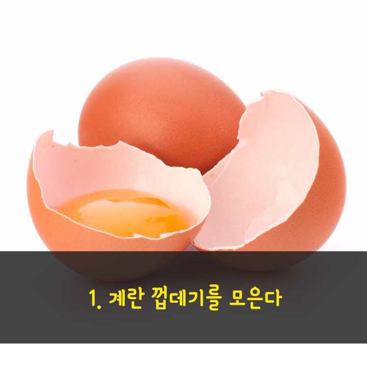 하얀세탁 이미지