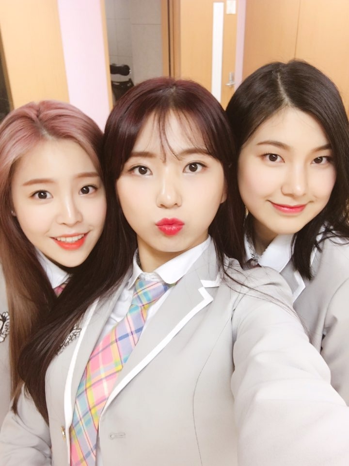 픽미픽미 이미지