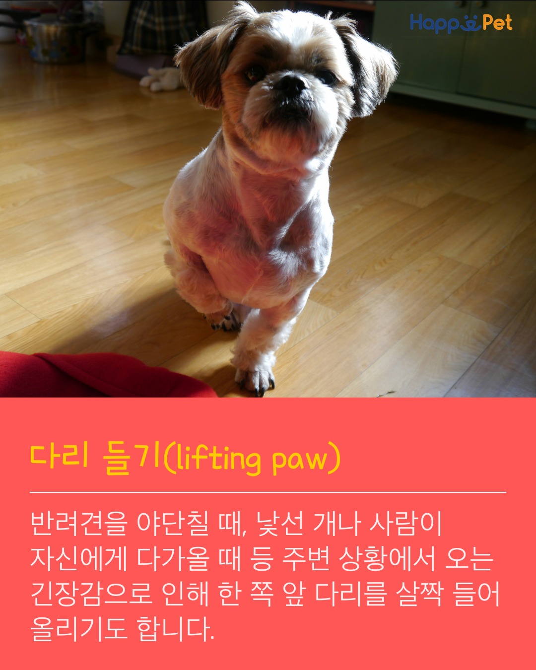 올어바웃펫 이미지