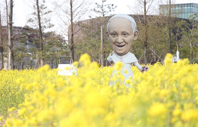 성지 이미지