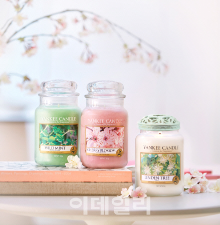 체리트리(CHERRY TREE) 이미지