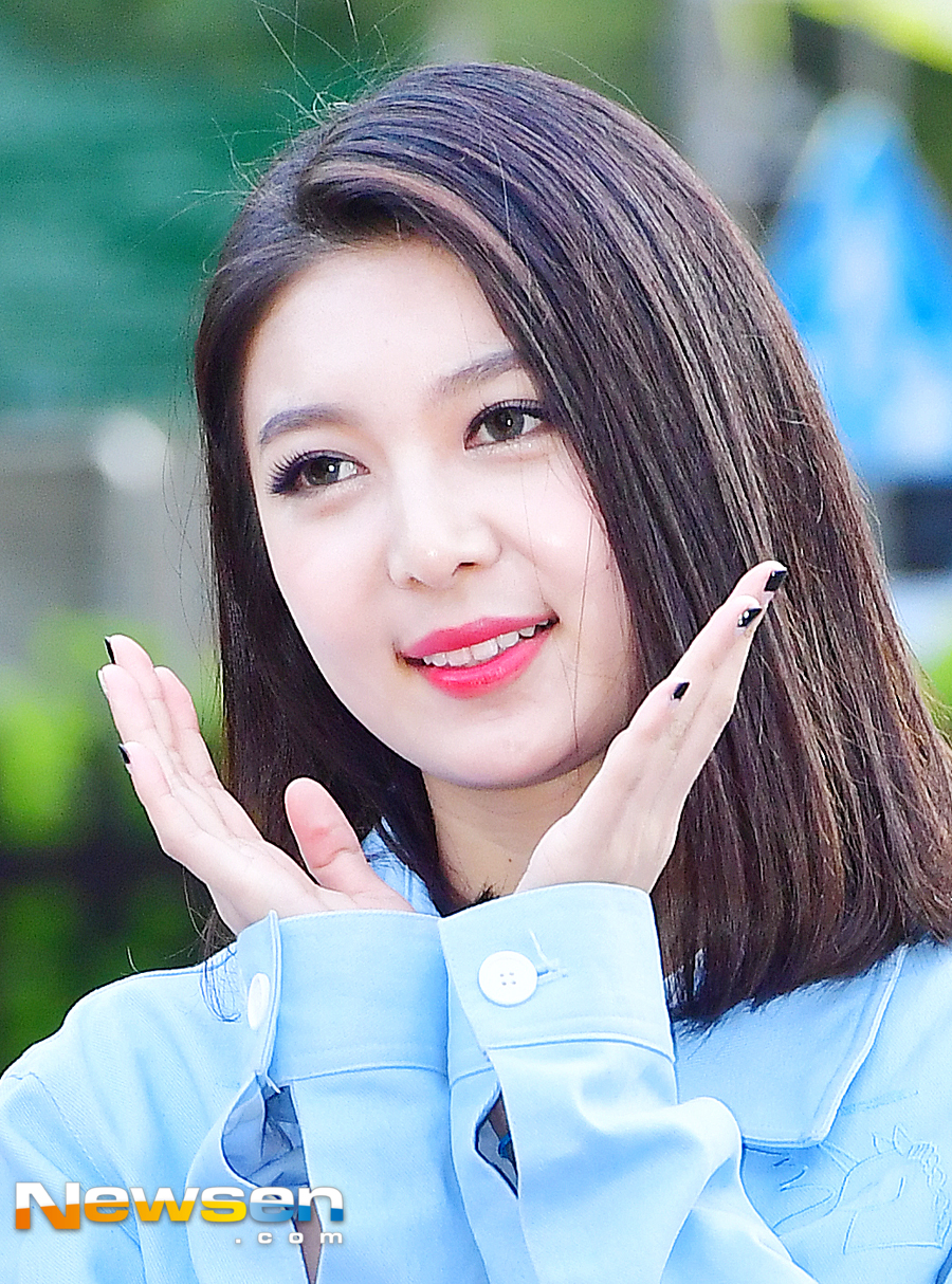 다미 이미지