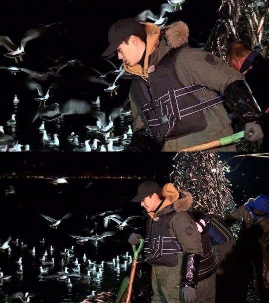 주먹이 이미지
