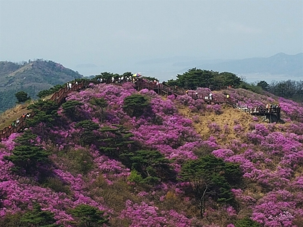 고려산 이미지