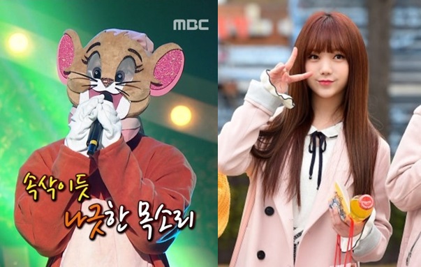 제리네 이미지