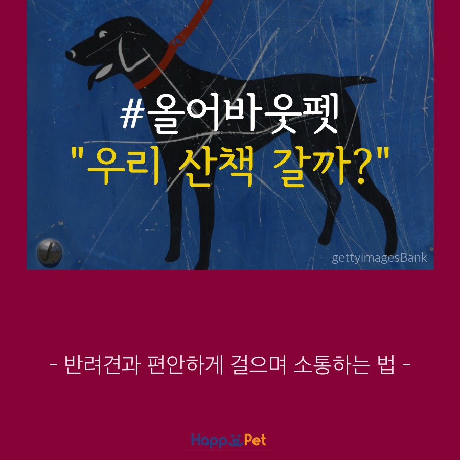 올어바웃펫 이미지