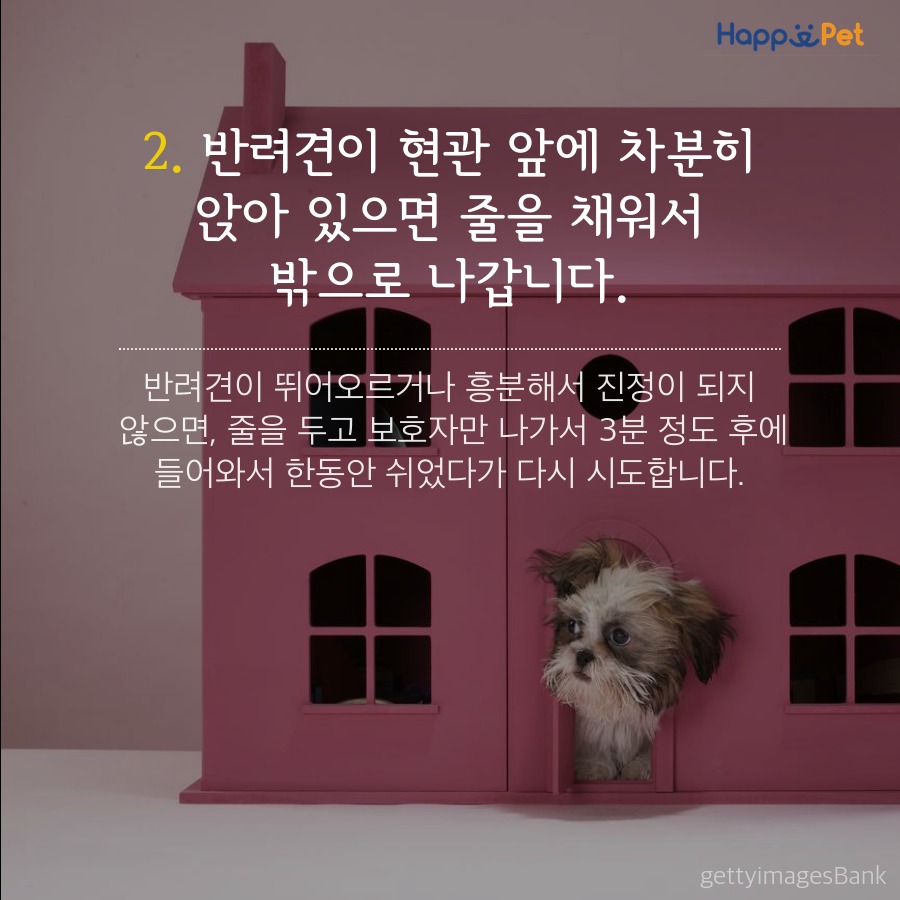 올어바웃펫 이미지