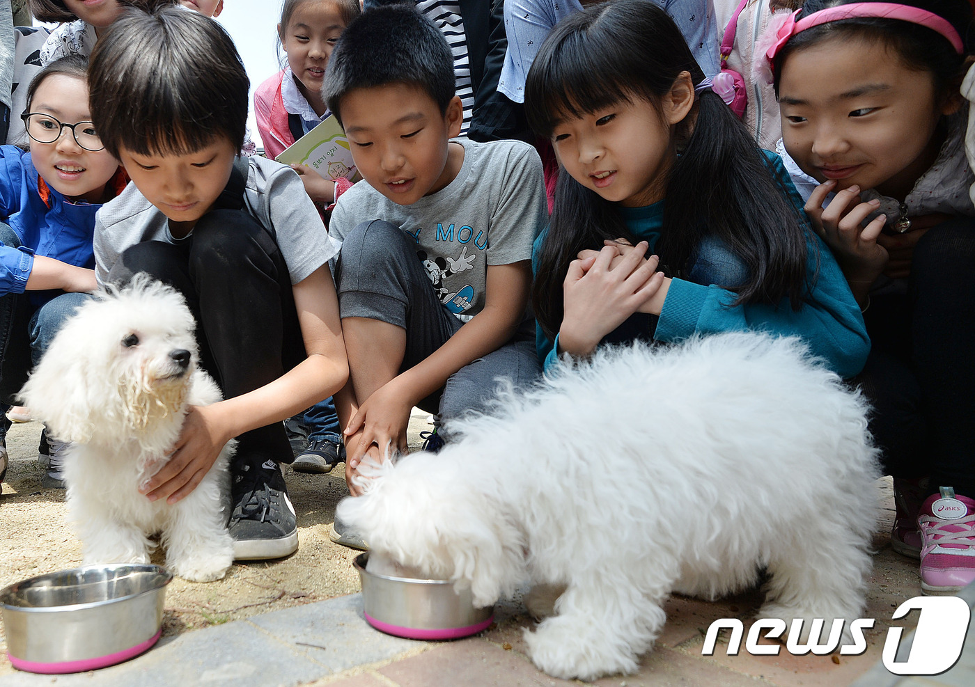 선암축산 이미지
