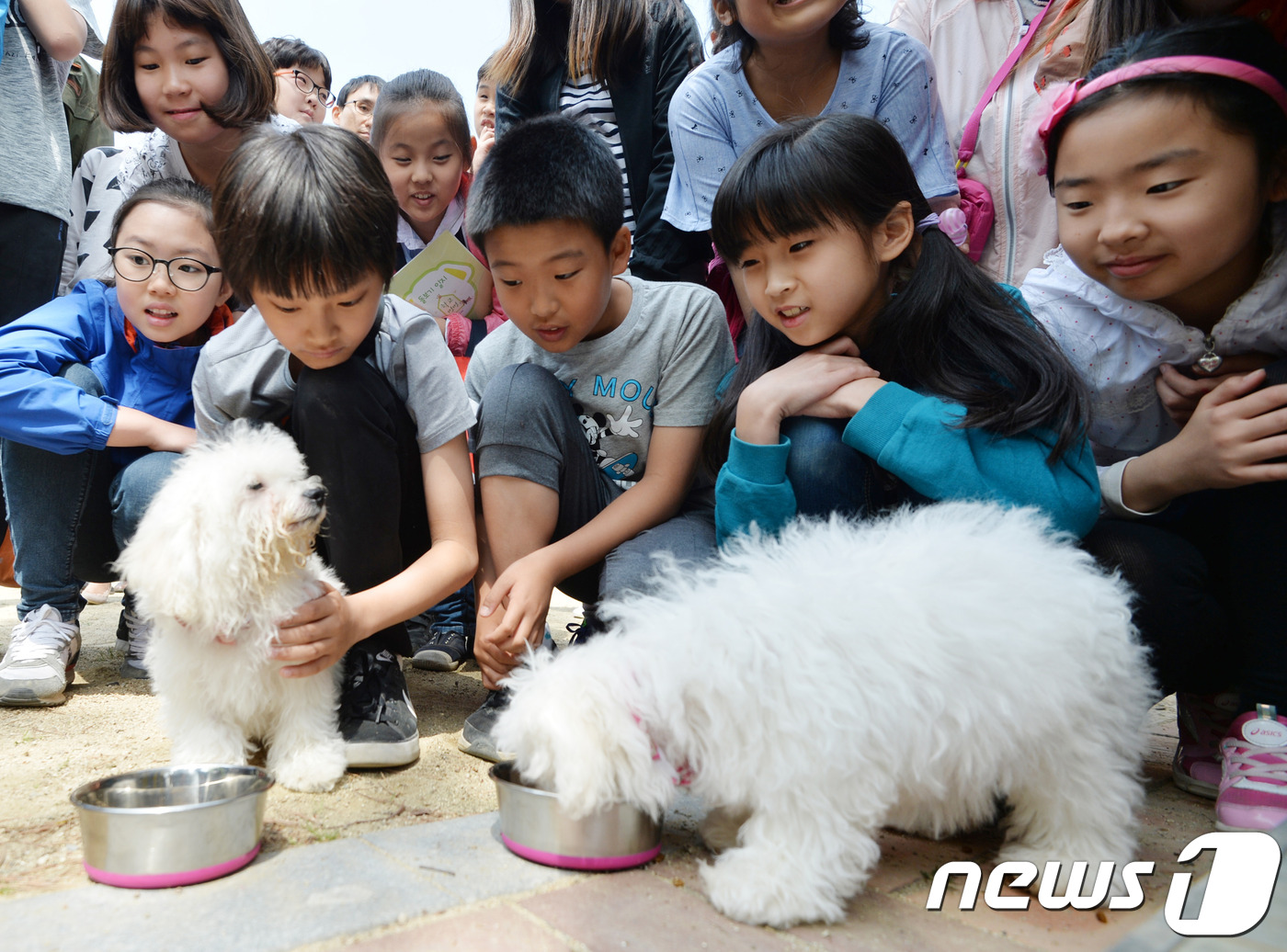 선암축산 이미지