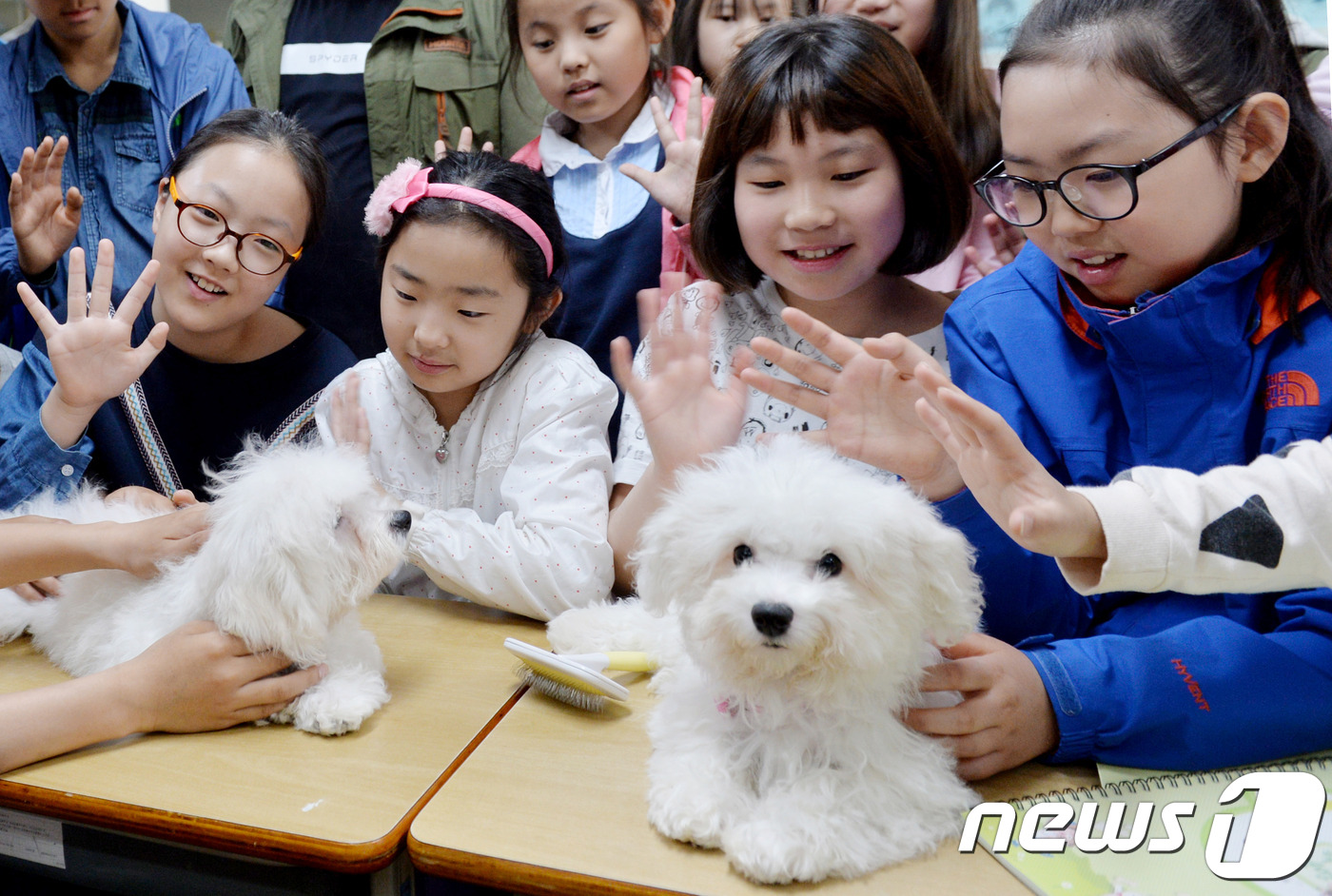 선암축산 이미지