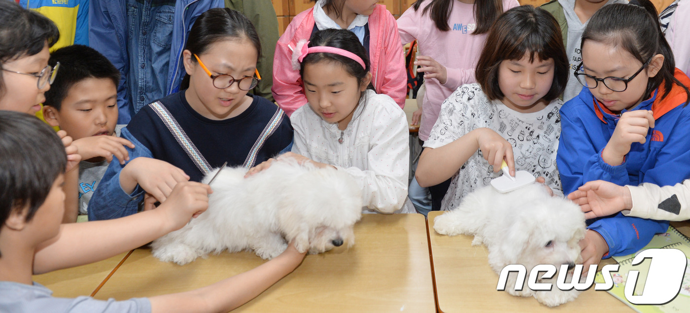 선암축산 이미지