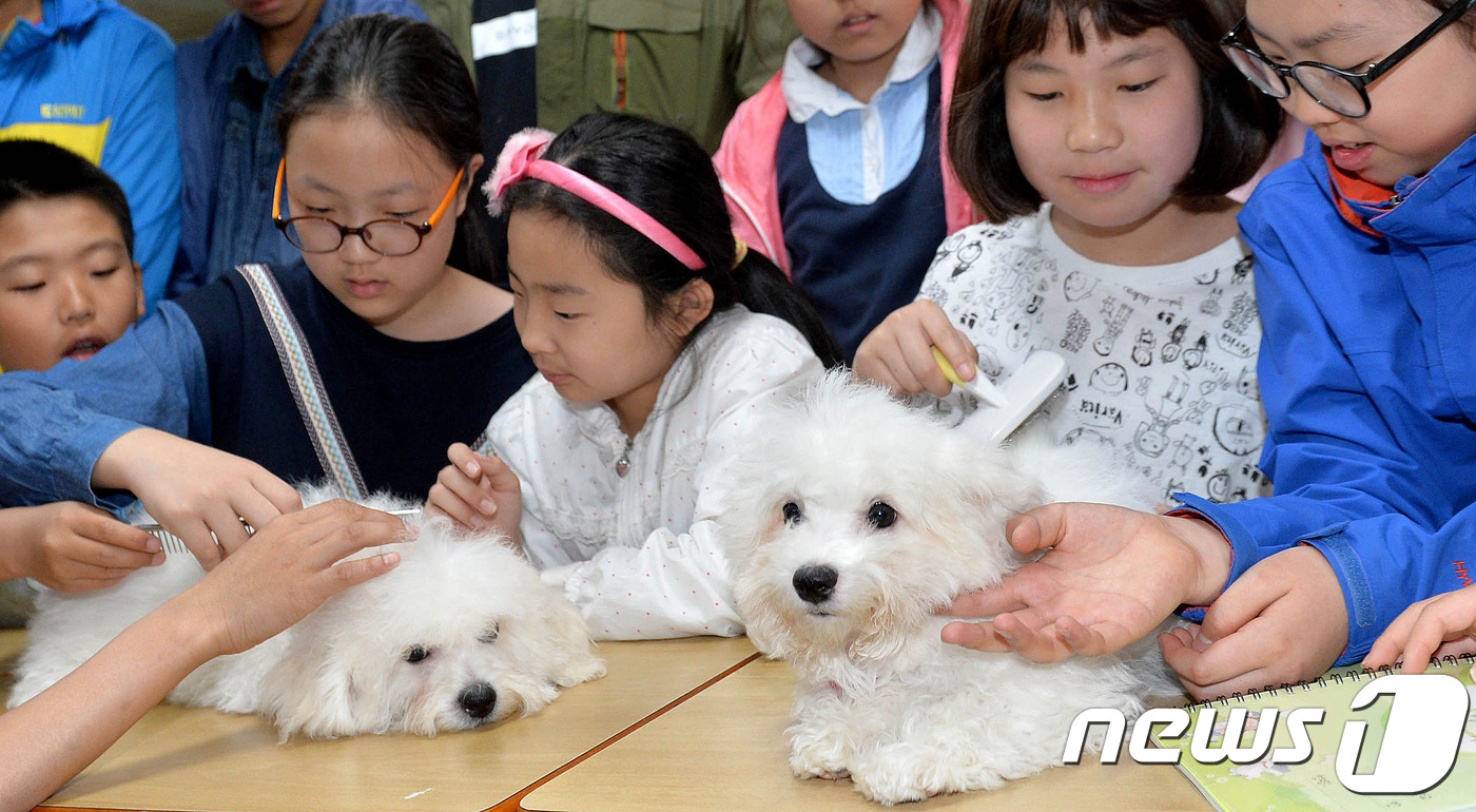 선암축산 이미지