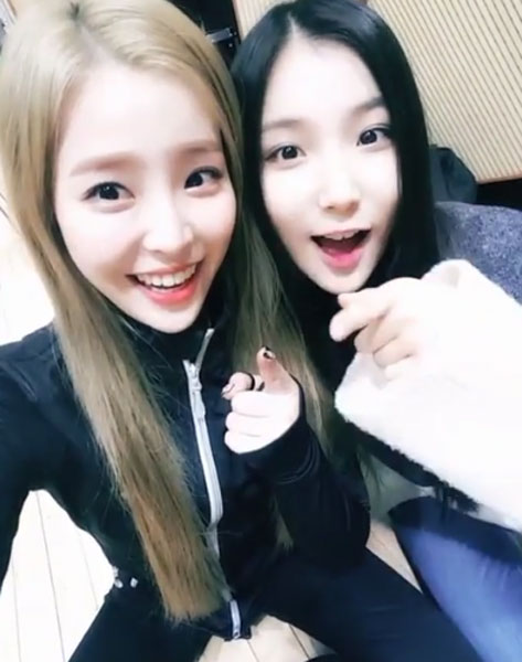 데이데이 이미지