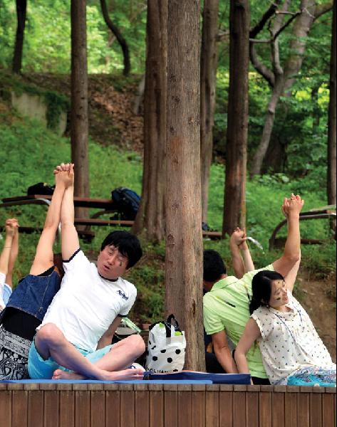 기적의힐링숲 이미지