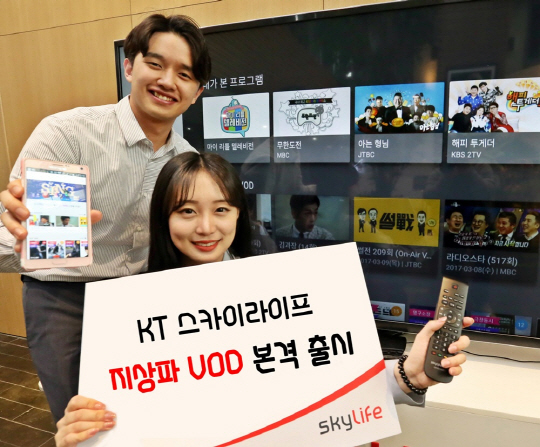 스카이라이프 이미지