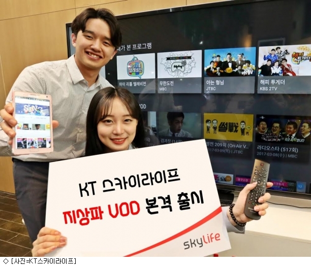 스카이라이프 이미지
