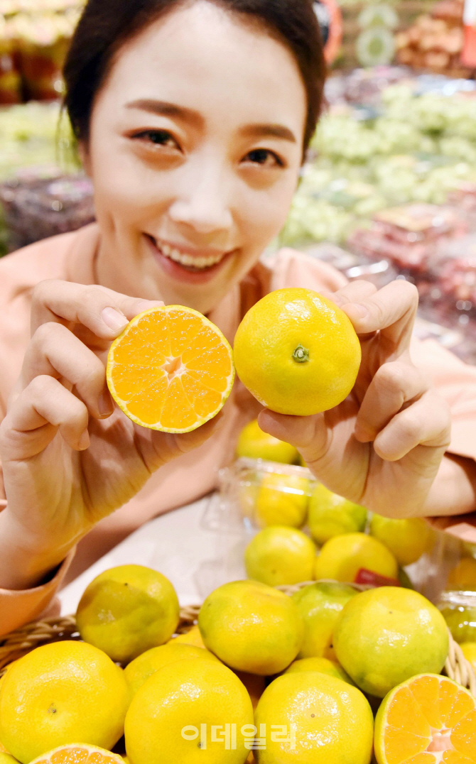포토하우스 이미지