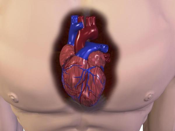 [헬스조선]호흡기로 들어간 미세먼지가 심장에 도달해 심근경색 등을 일으키는 과정을 밝힌 연구결과가 발표됐다/사진=헬스조선 DB