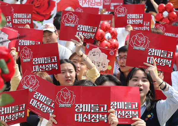 장미단식 이미지