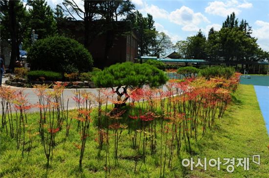 조성중학교 이미지