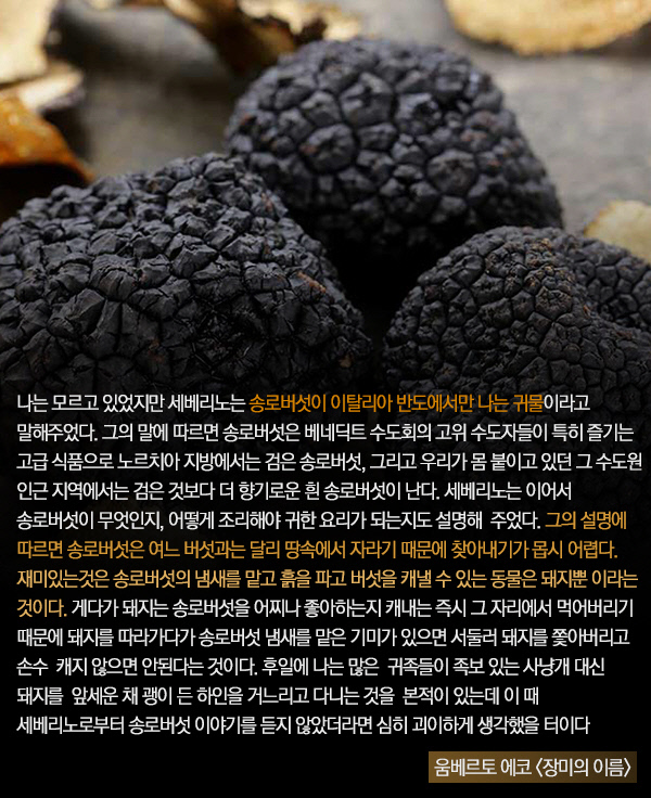 진미푸드 이미지
