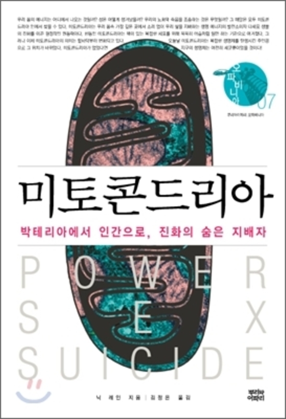 지글지글 이미지