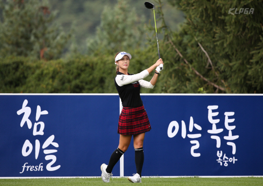 메이저월드(주) 이미지