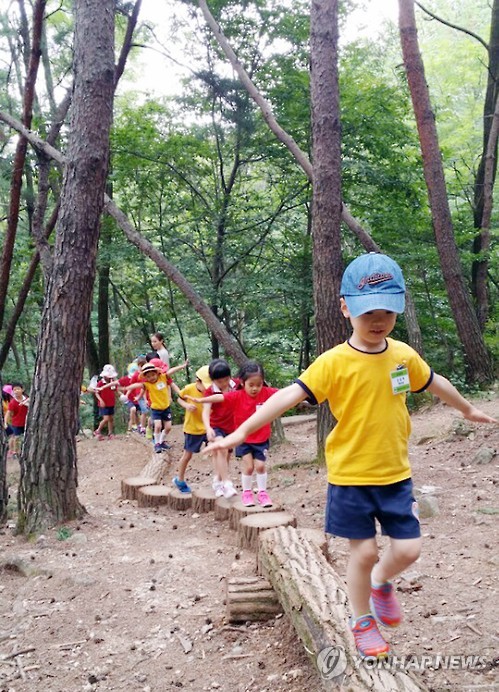 천년숲 유아숲체험원 이미지