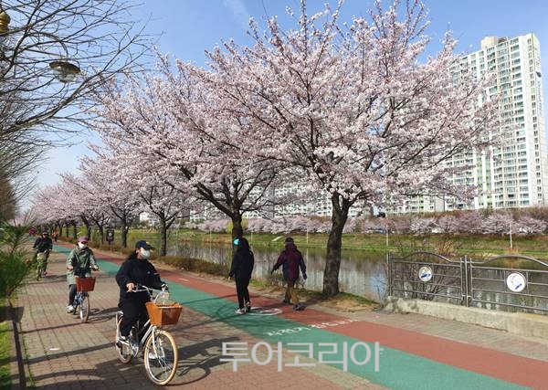 가족사랑자전거 이미지