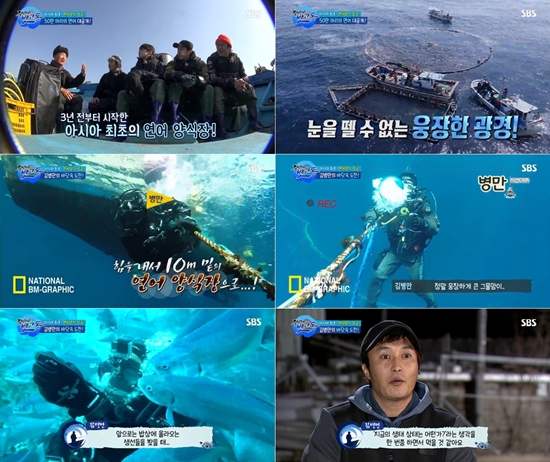 뱃고동 이미지