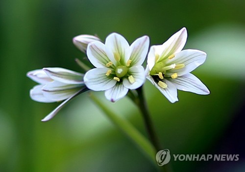 하루byH 이미지