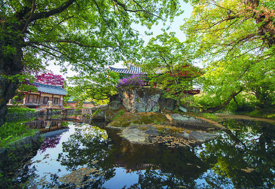 청량산 정상에서 본 전경 이미지