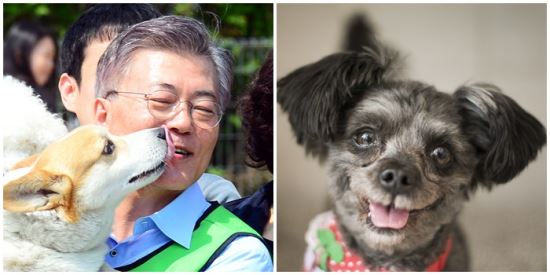 문토리 이미지
