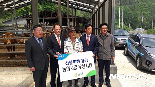 태백축산 이미지