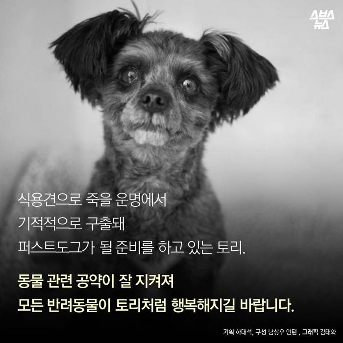 토리기획 이미지