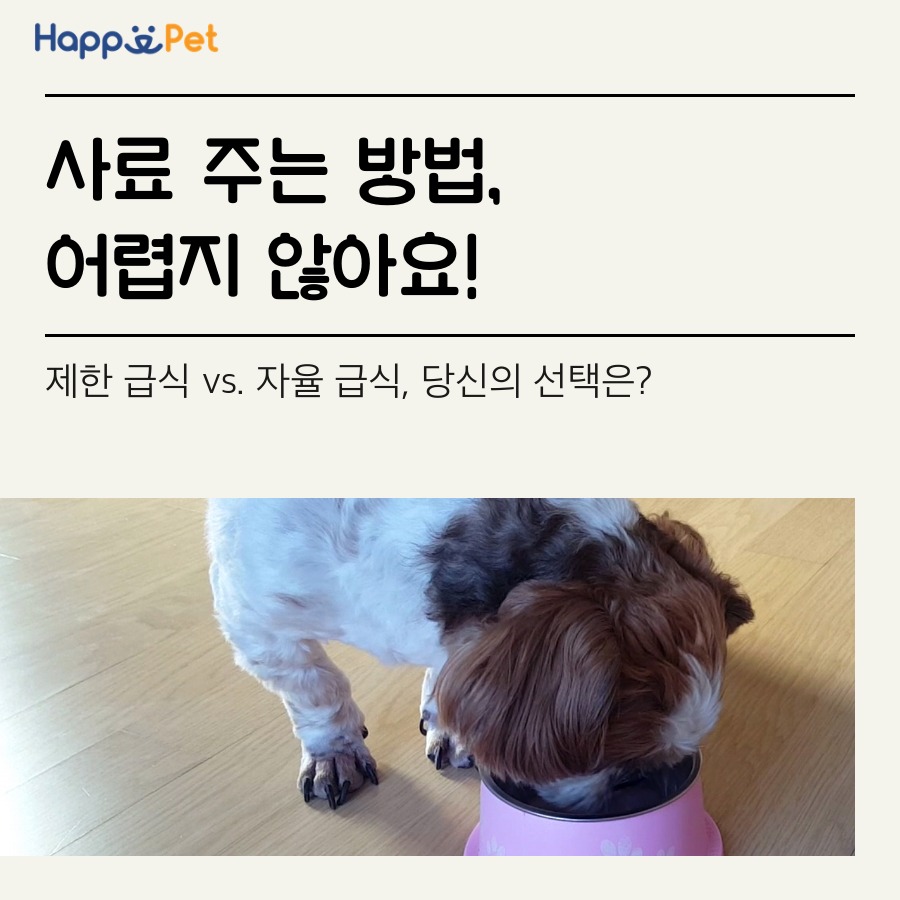 올어바웃펫 이미지