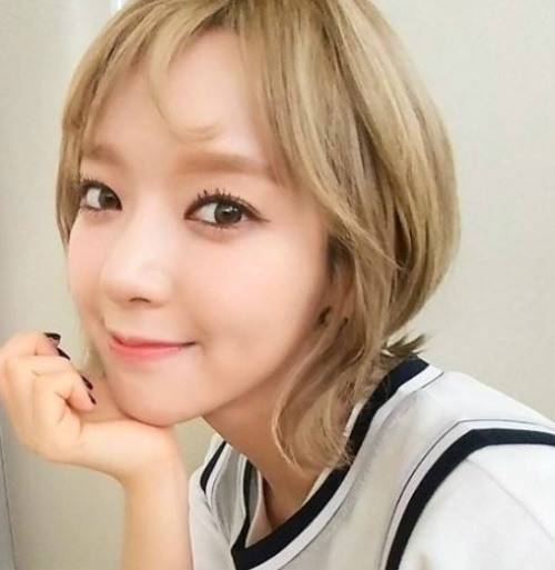 초아유통 이미지