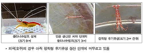 밝은클리너 이미지