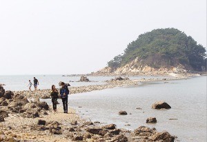 레일바이크 이미지