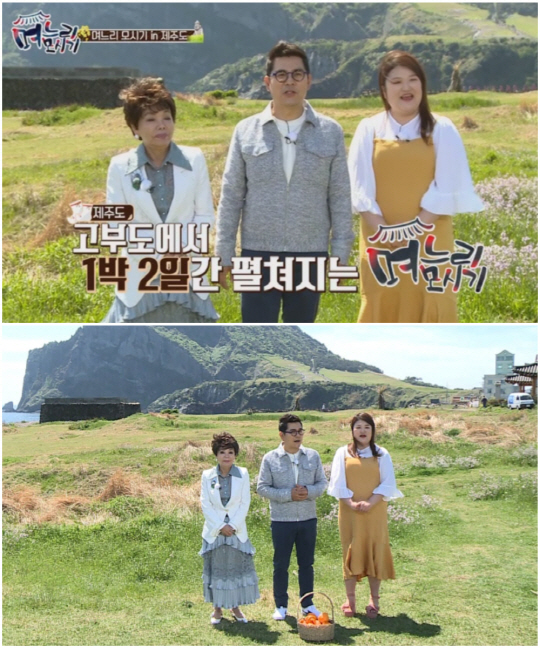 바다며느리 이미지