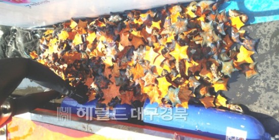 청정미담 이미지