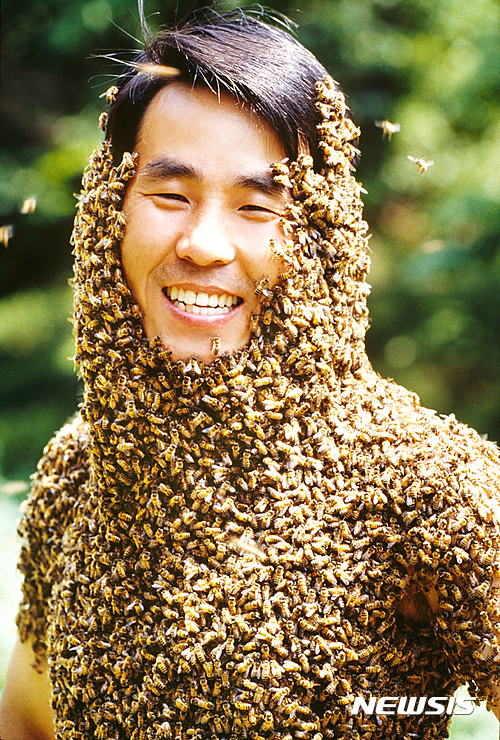 안상규벌꿀 이미지