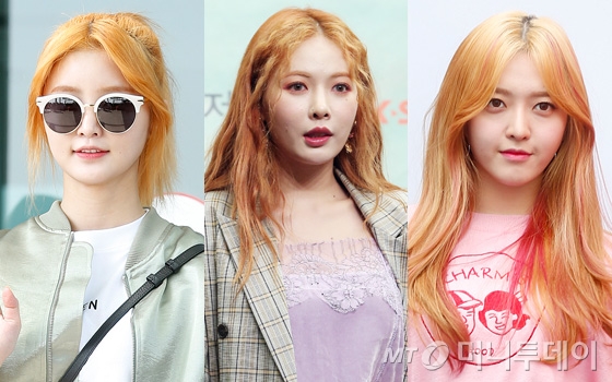 정화헤어 이미지