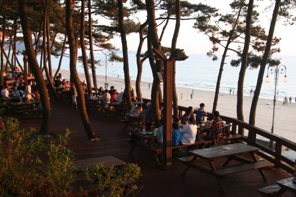옥수수로 구운 치킨&바베큐 이미지