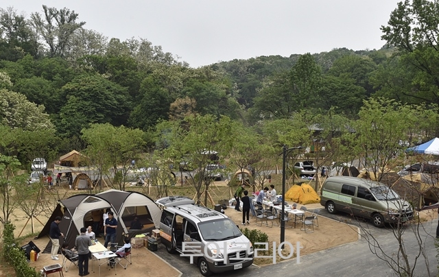 도심숲 이미지