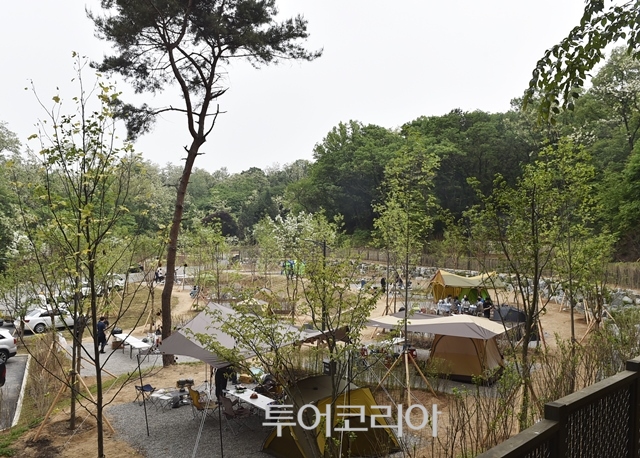 도심숲 이미지