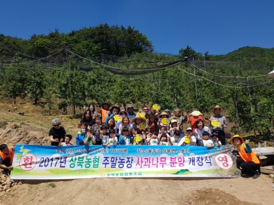 상북유치원 이미지